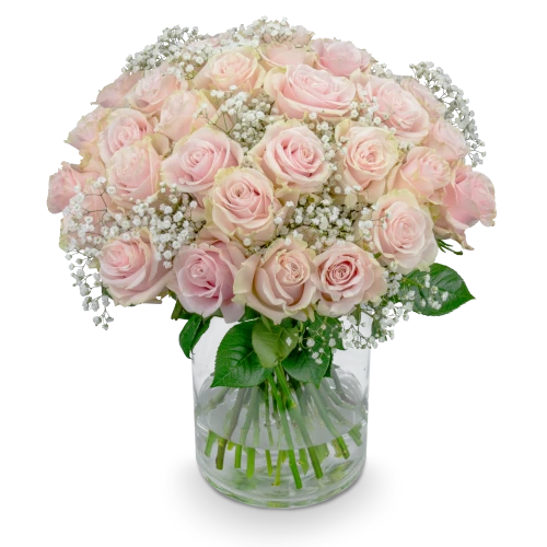 Bouquet of roses